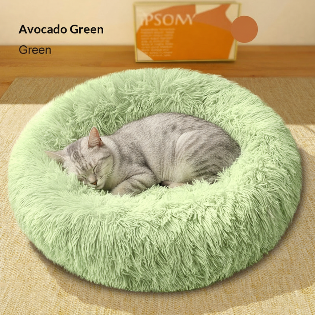 Cat in green bed - top-down view